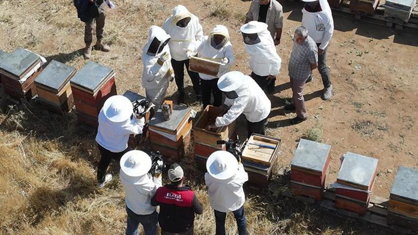 Şifa deposu üründe beklenen gün geldi! Sezonun ilk ürünü hasat edildi: Piyasada kapış kapış gidiyor