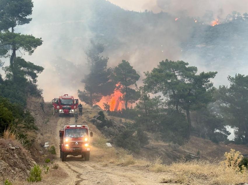 Çine ve Gömeç'te yangın! Alevler İzmir'e ulaştı, kahreden detayı açıkladı: Gittiğimde alev topu olmuştu