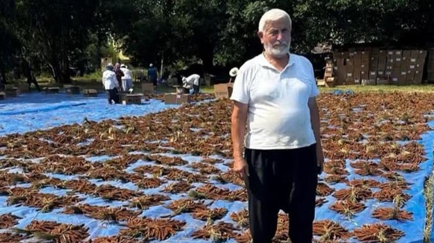 Osmaniye'de ilk kez deneme amaçlı ekildi! Tarlada kilosu 4 dolardan satılıyor: Avrupa ve Orta Doğu peşine düştü