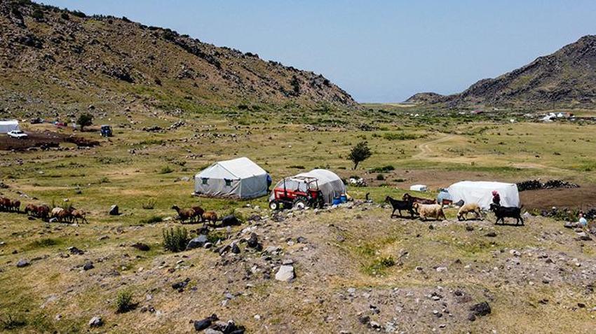 Yağışlar bereket getirdi! Ağrı Dağı eteklerindeki yaylalarda sevindiren değişim