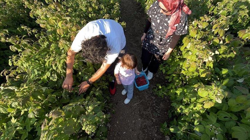 Kaymakam olacaktı, tarlanın patronu oldu! Bolu'da 6 dönümle başladı, ismini duyan geldi: 'Burada istediğin kadar ye aldığın kadar öde'