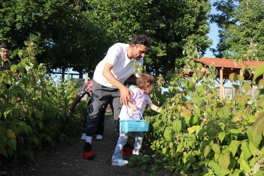 Kaymakam olacaktı, tarlanın patronu oldu! Bolu'da 6 dönümle başladı, ismini duyan geldi: 'Burada istediğin kadar ye aldığın kadar öde'