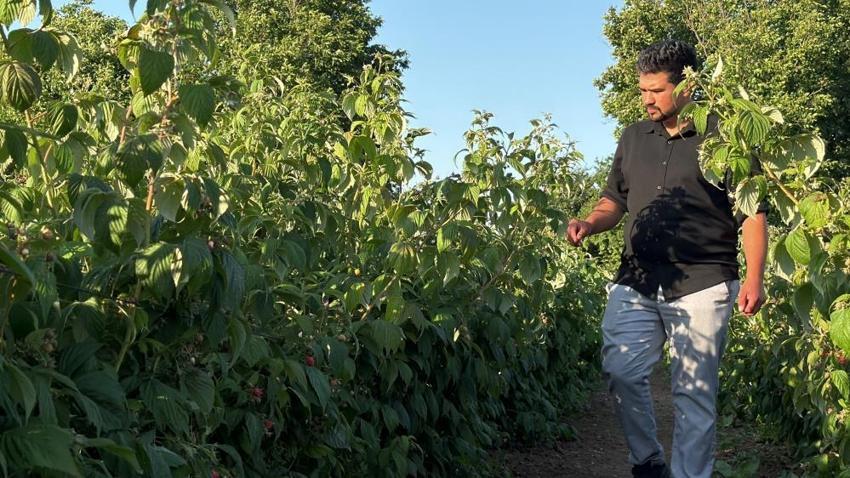 Kaymakam olacaktı, tarlanın patronu oldu! Bolu'da 6 dönümle başladı, ismini duyan geldi: 'Burada istediğin kadar ye aldığın kadar öde'