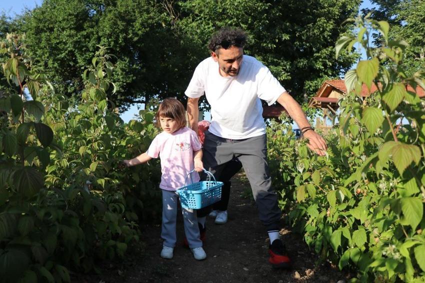 Kaymakam olacaktı, tarlanın patronu oldu! Bolu'da 6 dönümle başladı, ismini duyan geldi: 'Burada istediğin kadar ye aldığın kadar öde'