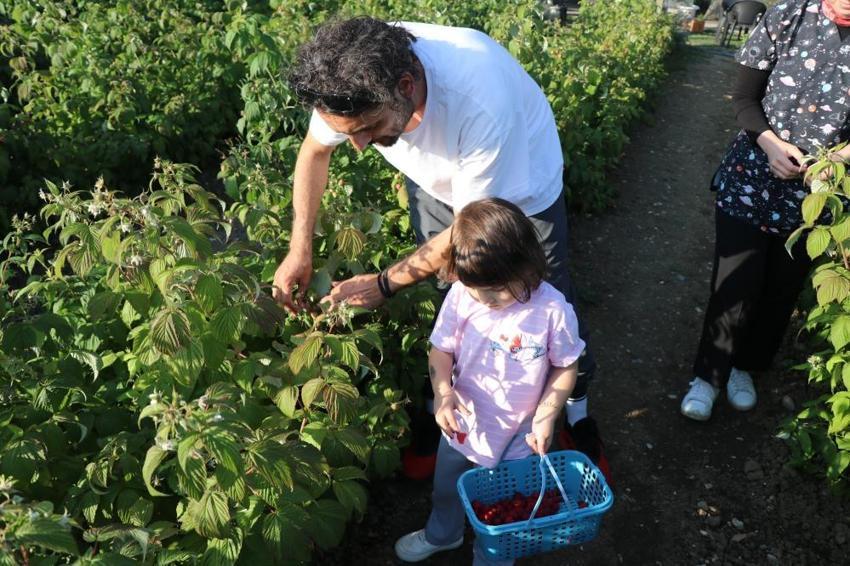 Kaymakam olacaktı, tarlanın patronu oldu! Bolu'da 6 dönümle başladı, ismini duyan geldi: 'Burada istediğin kadar ye aldığın kadar öde'