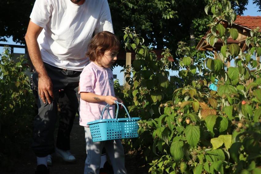 Kaymakam olacaktı, tarlanın patronu oldu! Bolu'da 6 dönümle başladı, ismini duyan geldi: 'Burada istediğin kadar ye aldığın kadar öde'