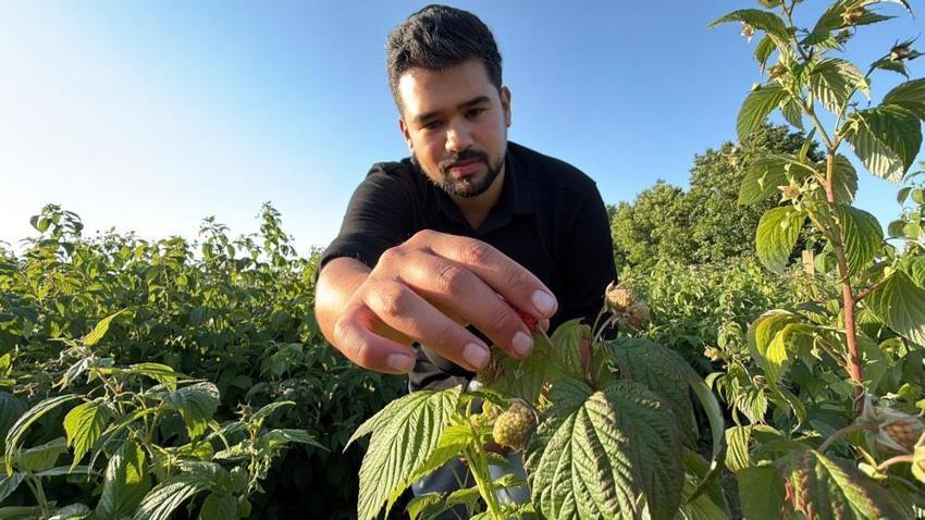 Kaymakam olacaktı, tarlanın patronu oldu! Bolu'da 6 dönümle başladı, ismini duyan geldi: 'Burada istediğin kadar ye aldığın kadar öde'