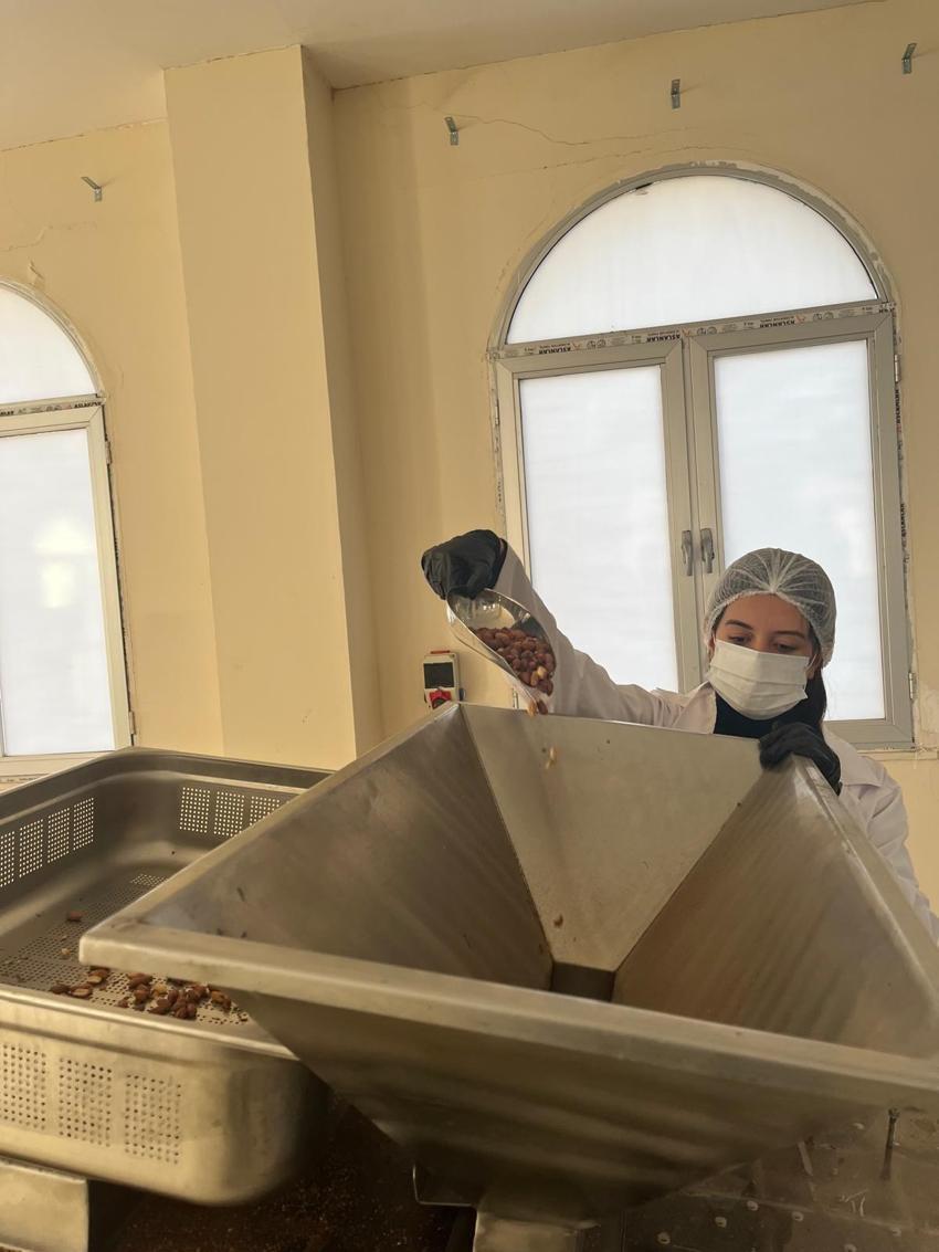 Osmaniye'nin tescilli lezzeti yer fıstığına katma değer katan tesis yöresel lezzeti ulusal pazara taşıyor