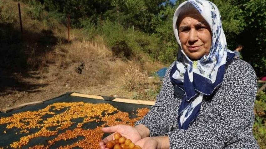 Satamadığı kirazı kurutup çerez yapıyor: Adana'da bu yöntemle kilosu 100 lira ediyor