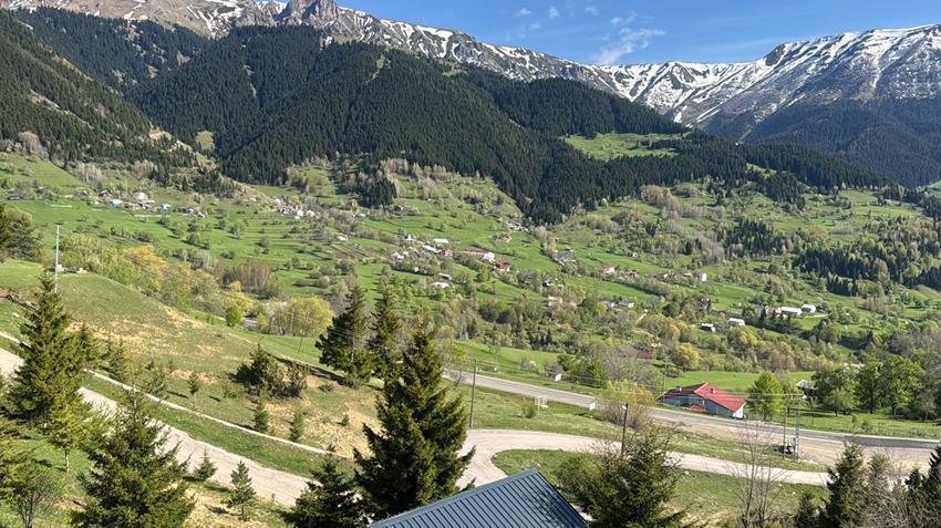 Karadeniz'de tehlike patladı! Gittikçe azalıyor, kötü haberi verdi: Maalesef değişecek