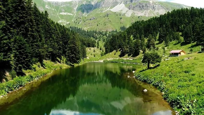 Karadeniz'de tehlike patladı! Gittikçe azalıyor, kötü haberi verdi: Maalesef değişecek