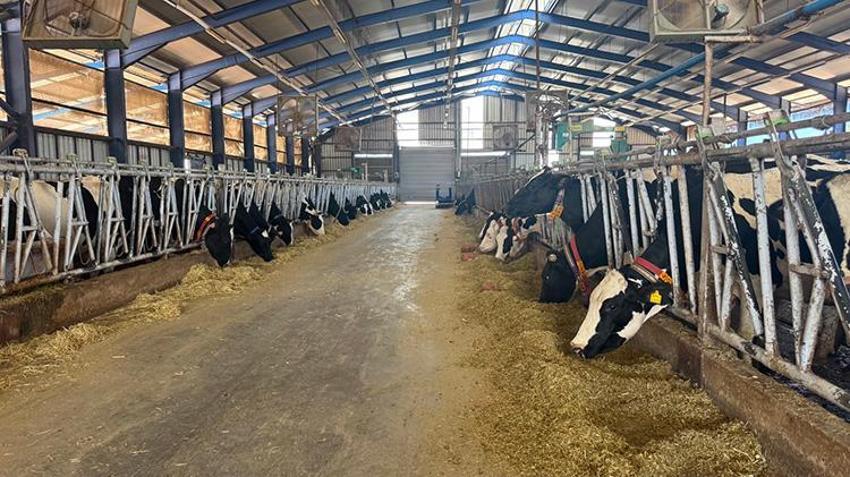 Tarımda yapay zeka ve robot dönemi başladı: 5 bin 500 dönümlük arazide uygulama yapılacak, mezun olur olmaz işi hazır!