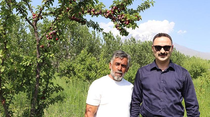 'Burada yetişmez' diyorlardı! 2015'te işi gücü bıraktı, taşlı arazide kendi serasını kurdu: 'Ağaçlar meyveden yıkılıyor!'