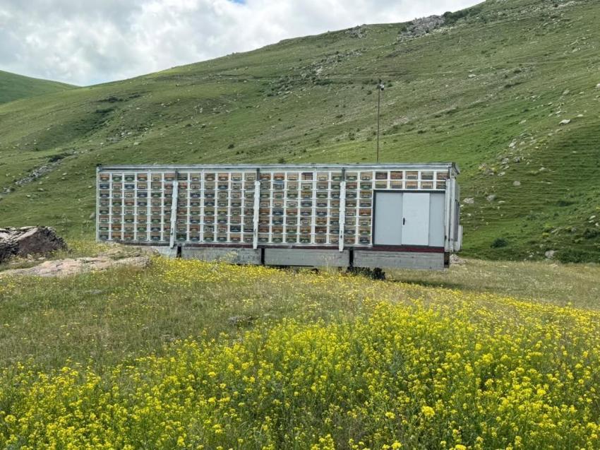 Kars'ta geliştirildi! Dünyada benzeri çok az: Üretimde ezber bozan yerli sistem