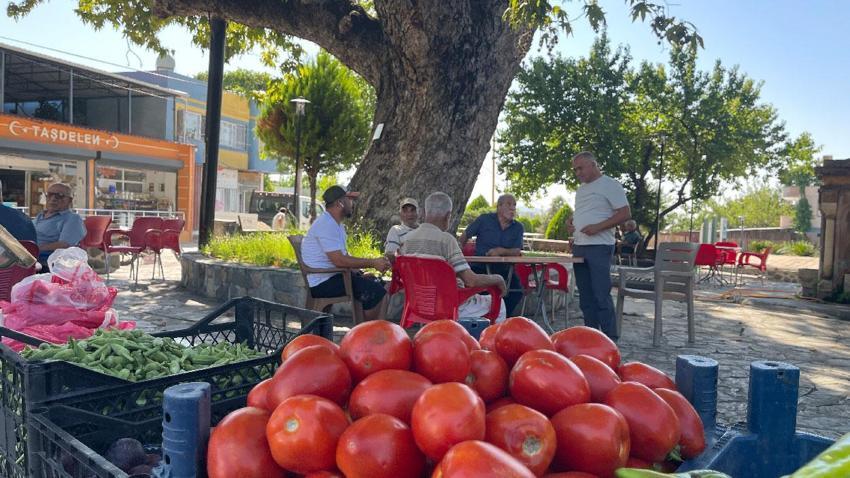260 yıllık mahallenin simgesi yaz sıcağında doğal klima oluyor