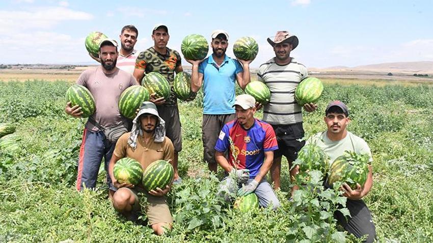 Geçen yıl dünyaya açıldı! İlk kez tadına bakanlar vazgeçemedi, üretici bu yıl talebe yetişemedi