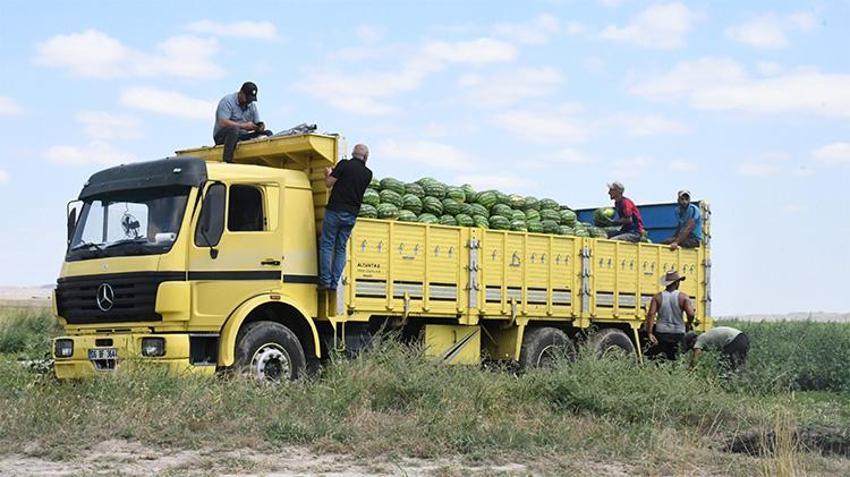 Geçen yıl dünyaya açıldı! İlk kez tadına bakanlar vazgeçemedi, üretici bu yıl talebe yetişemedi
