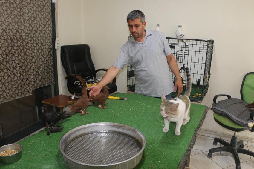 Milyonluk güvercinleri “azılı düşmanlarına” emanet etti! Diyarbakır'da şaşırtan görüntü
