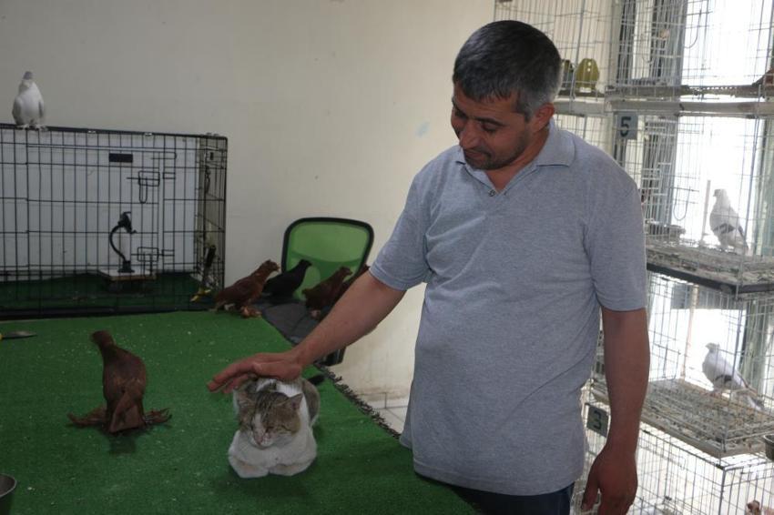 Milyonluk güvercinleri “azılı düşmanlarına” emanet etti! Diyarbakır'da şaşırtan görüntü