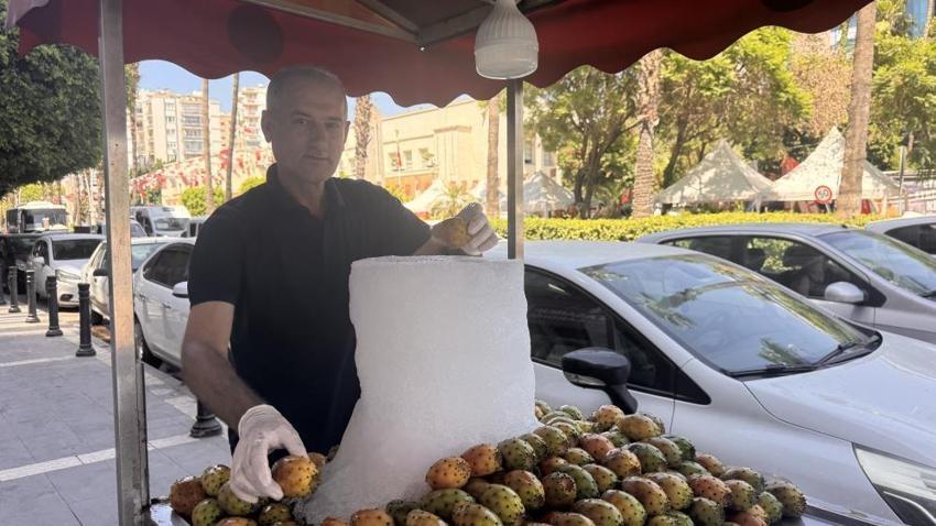 Adana'da yılda sadece 1 defa çıkıyor, 2 ay içinde tükeniyor! Tanesi 25 TL: Talep patladı