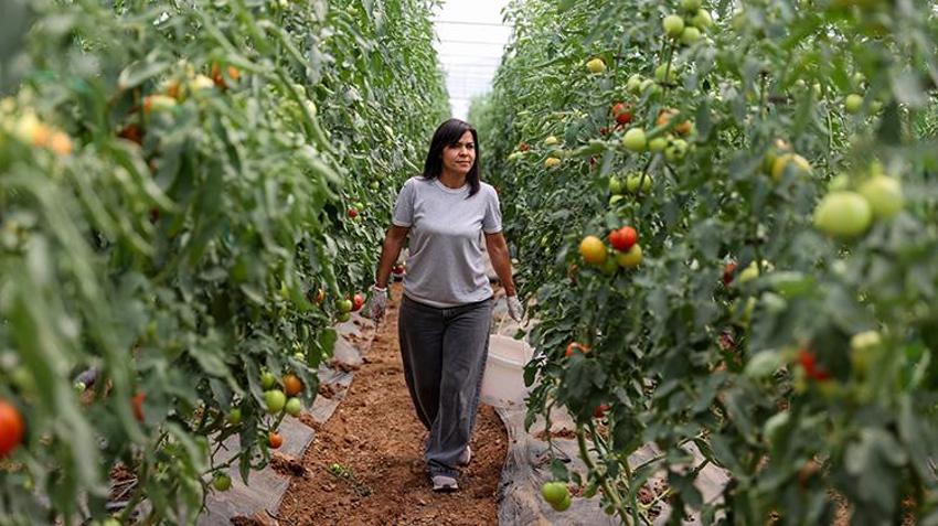 Antalya'dan memleketi Konya'ya döndü, 2 dönüm arazide üretime başladı! Kısa sürede kendi işinin patronu oldu!