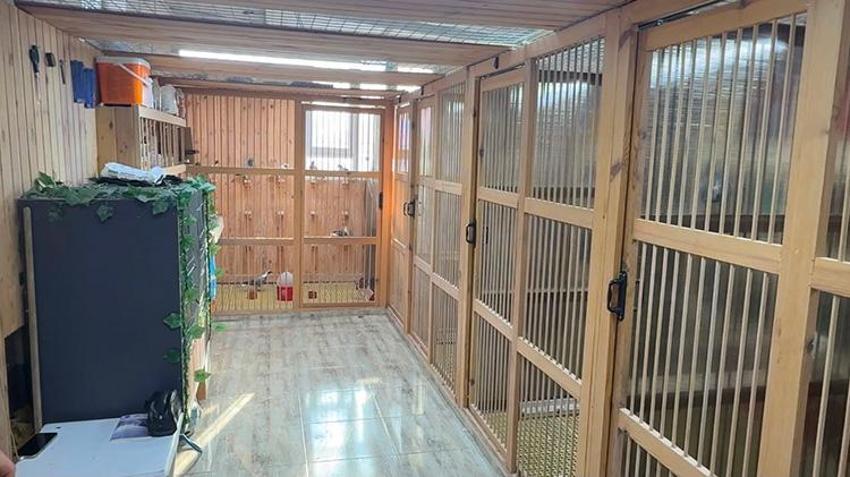 Otomobilini takas etmek isteyenler var! Tanesi 400 Bin TL'lik güvercinlere klimalı ve su arıtmalı özel yaşam alanı kurdu