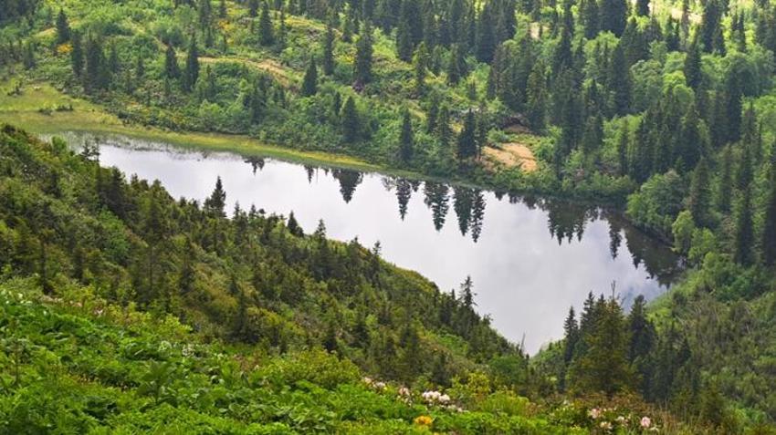 Artvin'de keşfedilmeyi bekleyen bir doğa harikası! Gören dönmek istemiyor
