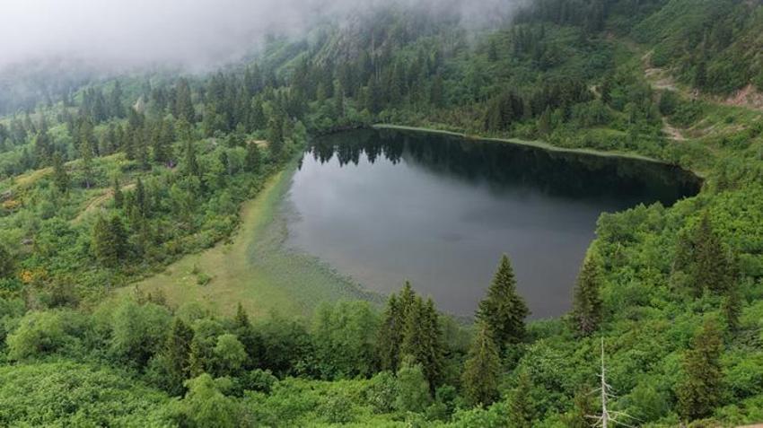 Artvin'de keşfedilmeyi bekleyen bir doğa harikası! Gören dönmek istemiyor