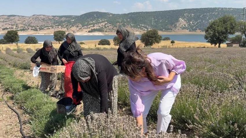 5 yıl önce dikildi, şimdi yüzleri güldürüyor! Kütahya'da kadınların yeni gelir kapısı oldu