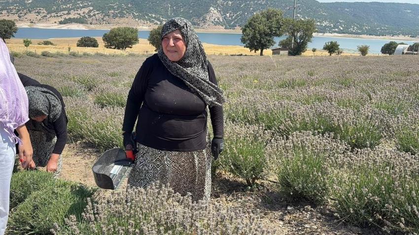 5 yıl önce dikildi, şimdi yüzleri güldürüyor! Kütahya'da kadınların yeni gelir kapısı oldu