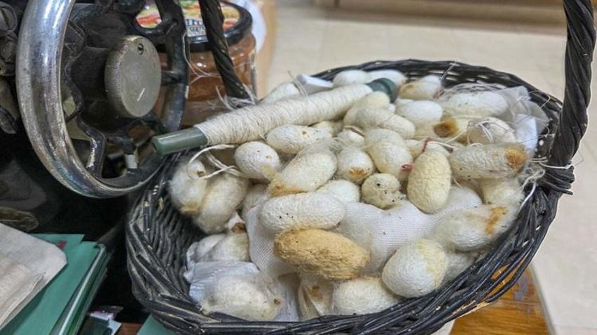 17 yıl önce başladı, şimdi dünyaya satıyor! Servet değerindeki ürünlere talep yağıyor