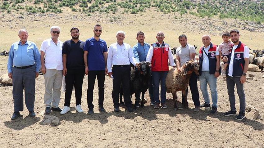 Siirt meralarında dev yatırım: Altyapı değişti, yaylada kalma süresi 5 katına çıktı!