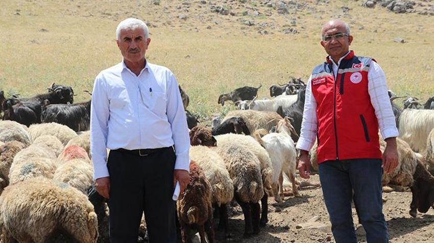 Siirt meralarında dev yatırım: Altyapı değişti, yaylada kalma süresi 5 katına çıktı!