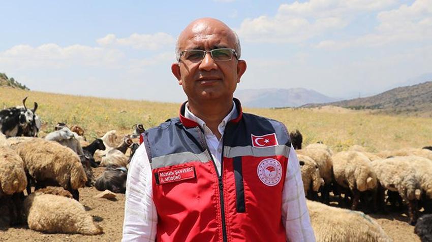 Siirt meralarında dev yatırım: Altyapı değişti, yaylada kalma süresi 5 katına çıktı!