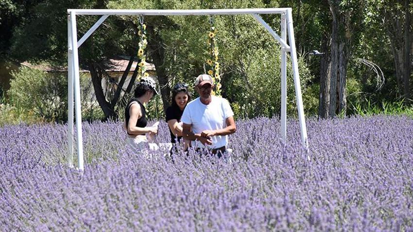 Emekli memur Sivas'ta 6 ay boyunca denedi: Şimdi ziyaretçi akınına uğruyor!