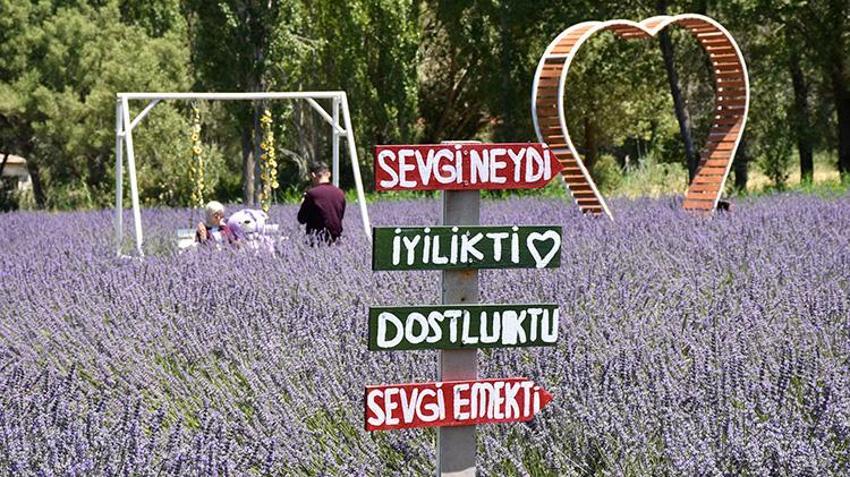 Emekli memur Sivas'ta 6 ay boyunca denedi: Şimdi ziyaretçi akınına uğruyor!
