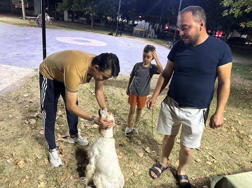 Manisa'da avcılar harekete geçti: Çipli köpekler koruma altına alınıyor!