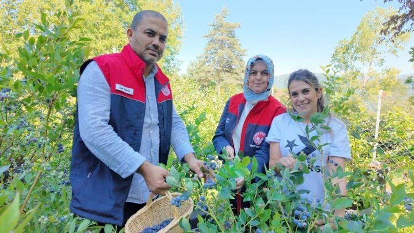 5 yıl önce Düzce'ye taşındı! Devlet desteğiyle kurduğu bahçe kazanç kapısı oldu