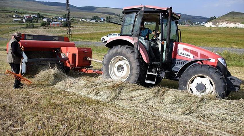 Yağışlar rekolteyi tavan yaptırdı: Karslı besicilerin yüzü gülüyor!