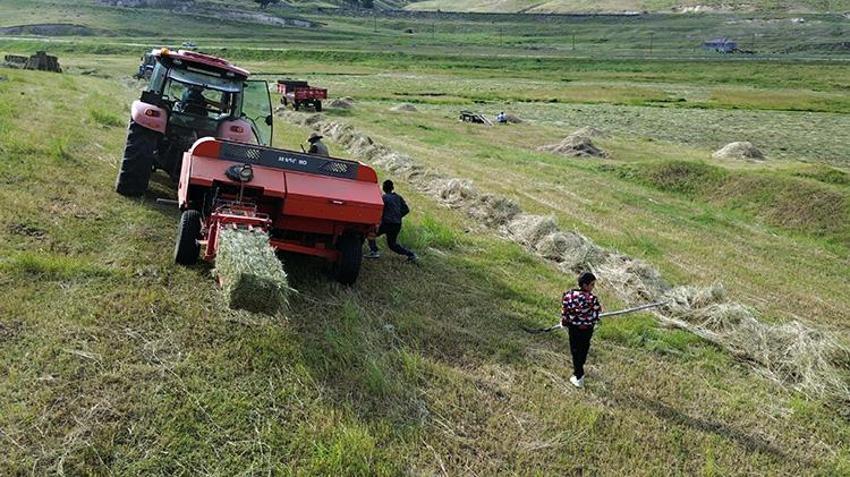 Yağışlar rekolteyi tavan yaptırdı: Karslı besicilerin yüzü gülüyor!