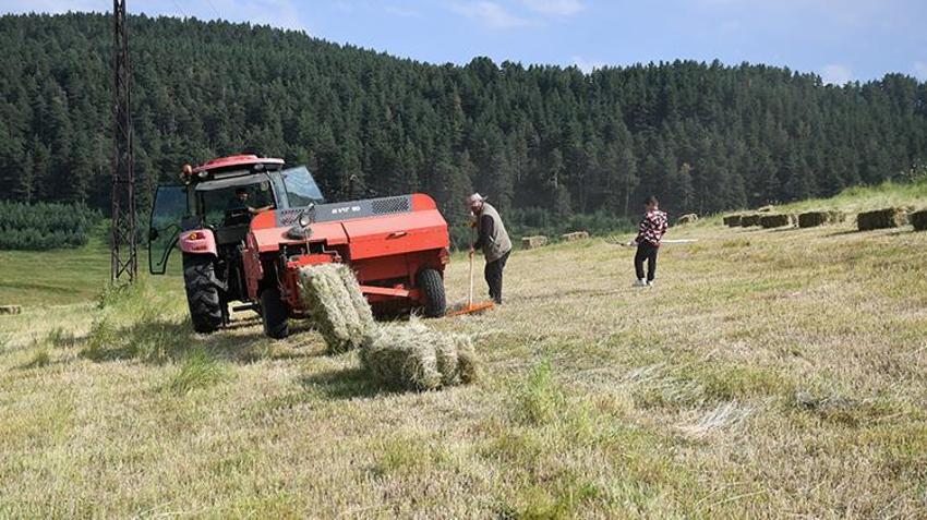 Yağışlar rekolteyi tavan yaptırdı: Karslı besicilerin yüzü gülüyor!