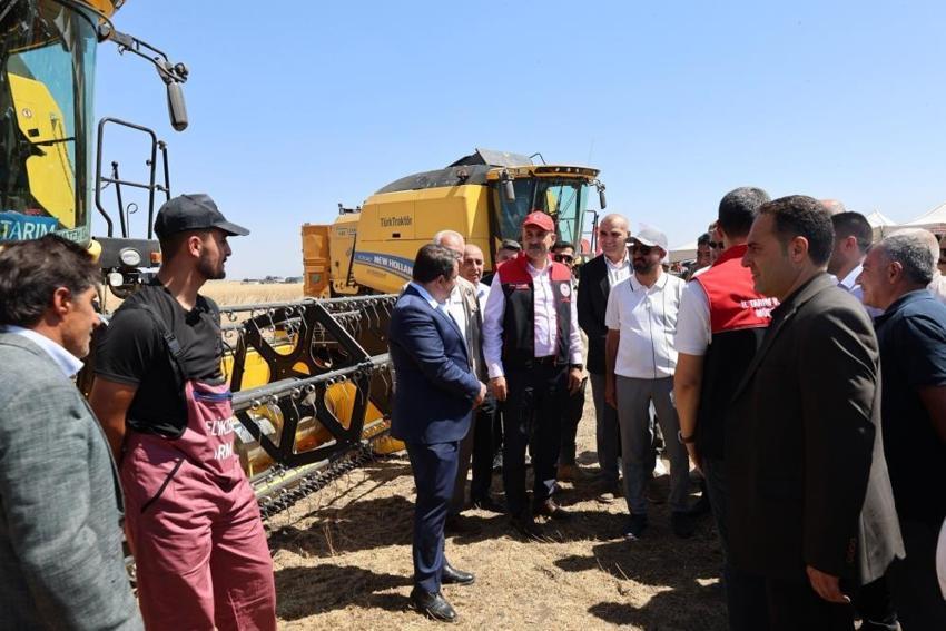 Kar ve yağış bereket getirdi! Ağrı'da buğday hasadı başladı