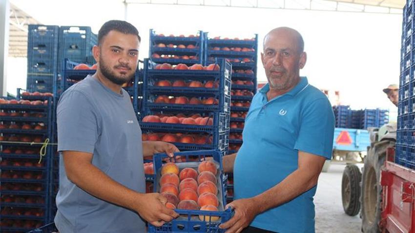 Fiyatı bir günde yarıya düştü: Maliyet 22 lira, satış 15 lira!