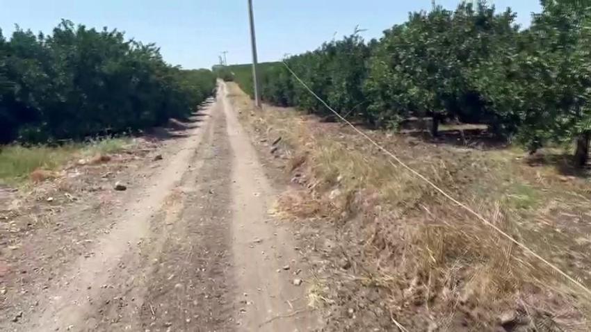 Hatay’da 400 Bin TL'lik vurgun: Hırsızlar 7 kuyuyu elektriksiz bıraktı, narenciye bahçeleri susuz kaldı!