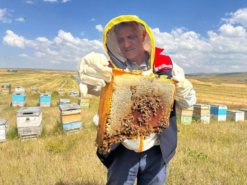 Kars'ta bal üretimi için kritik adım! Tek tek inceleniyor