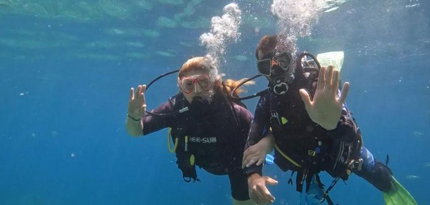 Dünyaca ünlü turizm merkezine hayat veren su altı dünyası!