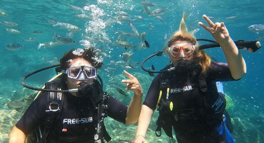 Dünyaca ünlü turizm merkezine hayat veren su altı dünyası!