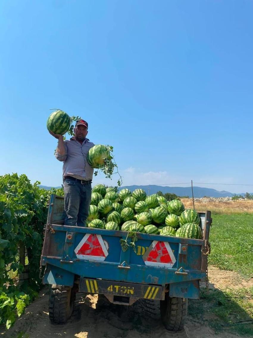 Tarlada verilen fiyatı duyunca vazgeçti! Manisalı çiftçi çözümü pazarda buldu