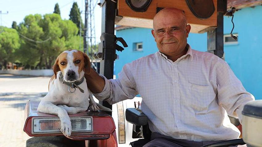 Üç yıl önce sahiplendiği köpek yol arkadaşı oldu: Motosikletin arkasına binip eve dönüyor, traktörü kimseye bırakmıyor!