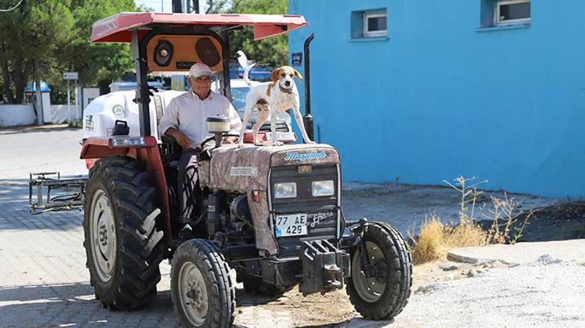 Üç yıl önce sahiplendiği köpek yol arkadaşı oldu: Motosikletin arkasına binip eve dönüyor, traktörü kimseye bırakmıyor!